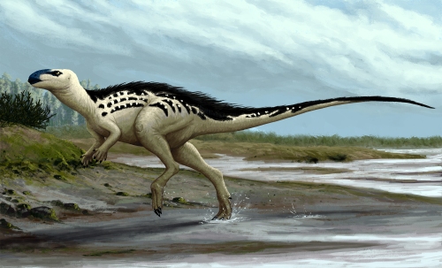Burianosaurus_augustai